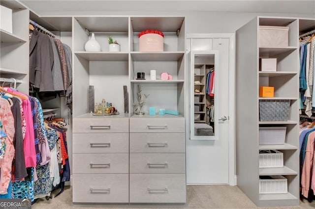 1420 Cortez Ln NE, Atlanta, GA 30319 - spacious closet with carpet
