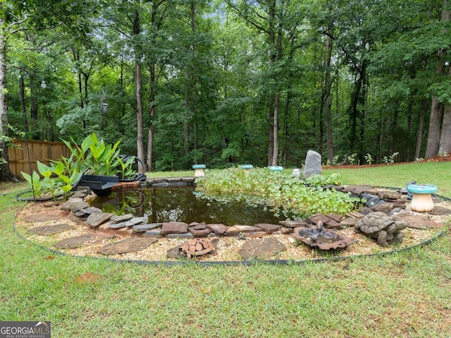 124 Belford Way, Locust Grove, GA 30233 - view of yard