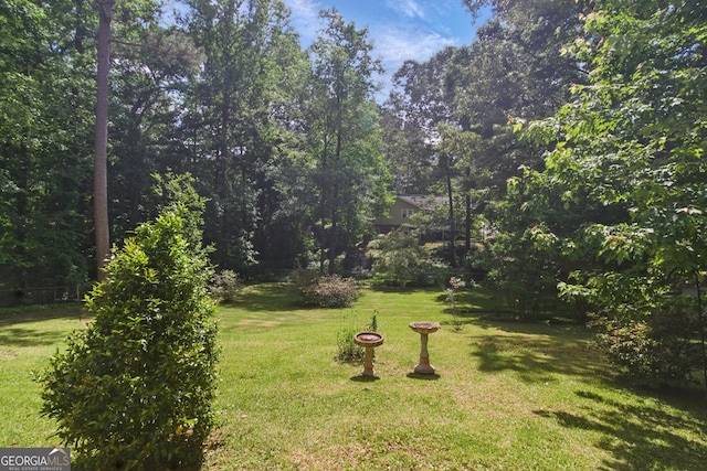 154 Willowdell Dr, Toccoa, GA 30577 - view of grassy yard