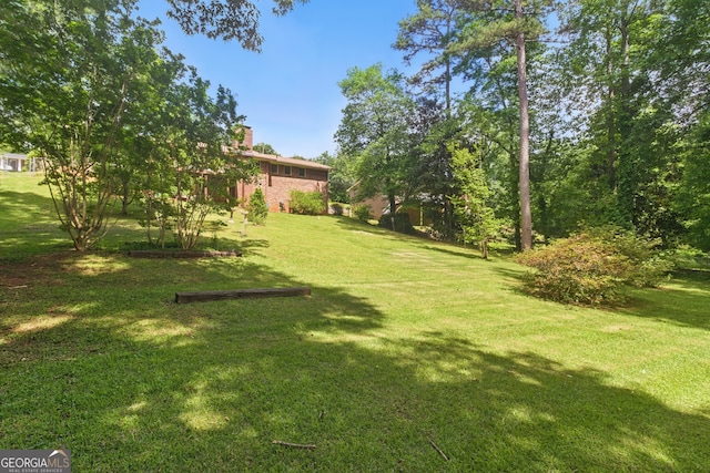 154 Willowdell Dr, Toccoa, GA 30577 - view of green lawn