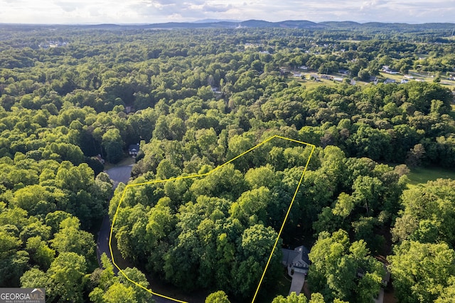 view of property location with property parcel outlined and a forest