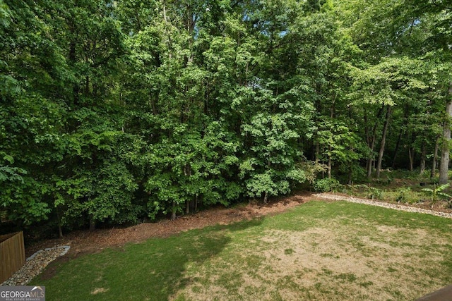 view of green lawn