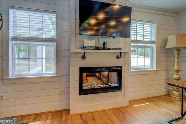 22 Waters Bridge Cir, Covington, GA 30014 - living room with light wood-type flooring, plenty of natural light, a large fireplace, and wooden walls