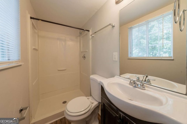 bathroom featuring a shower, vanity, and toilet