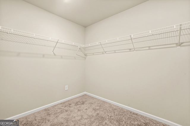 116 Cabin Way, Hampton, GA 30228 - spacious closet with carpet flooring
