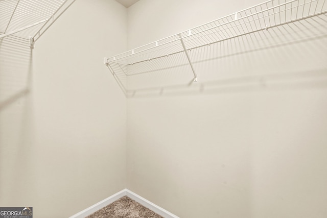 116 Cabin Way, Hampton, GA 30228 - spacious closet featuring carpet
