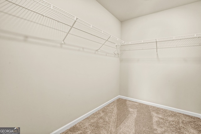 116 Cabin Way, Hampton, GA 30228 - spacious closet featuring carpet floors