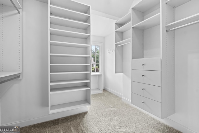 spacious closet with carpet