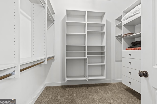 walk in closet with dark colored carpet