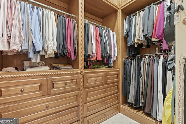 view of spacious closet