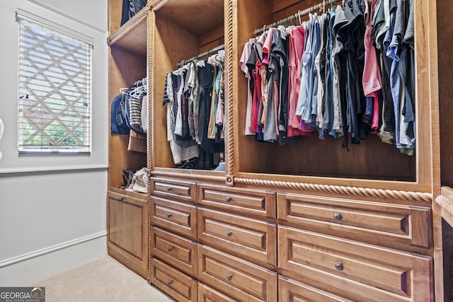 spacious closet with carpet floors