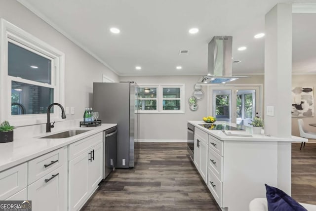 kitchen featuring a sink, stainless steel dishwasher, island exhaust hood, crown molding, and black electric cooktop