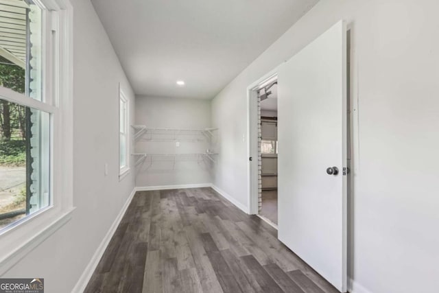 spacious closet with dark wood finished floors