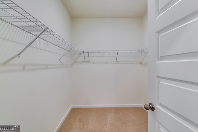walk in closet with carpet