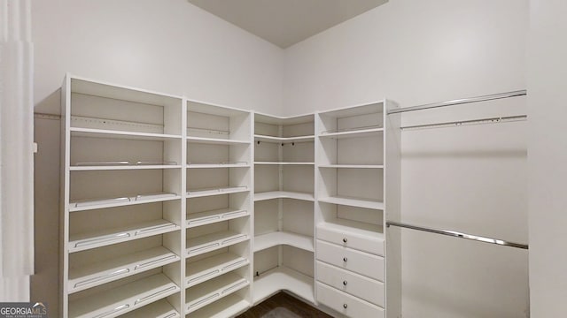 900 Ellesmere Pt, Mcdonough, GA 30253 - view of spacious closet