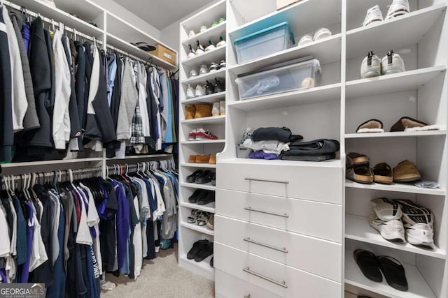 spacious closet featuring carpet flooring