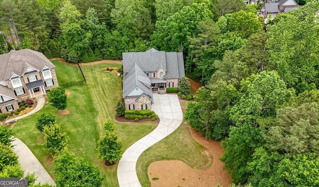 drone / aerial view