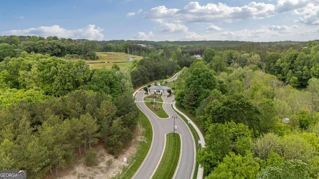 438 Southland Cir, Canton, GA 30115 - aerial overview of property's location featuring a forest