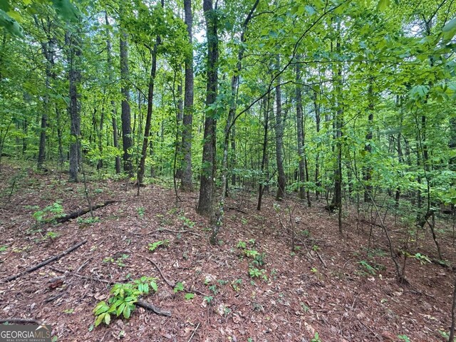 164 Reindeer Ln, Talking Rock, GA 30175
