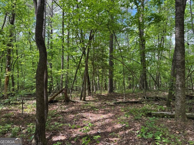 164 Reindeer Ln, Talking Rock, GA 30175