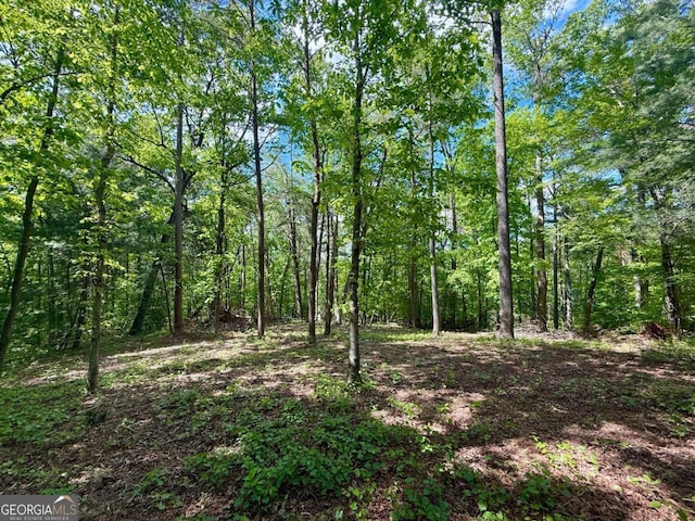 164 Reindeer Ln, Talking Rock, GA 30175