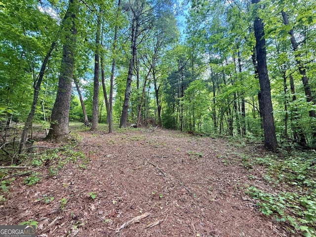 164 Reindeer Ln, Talking Rock, GA 30175