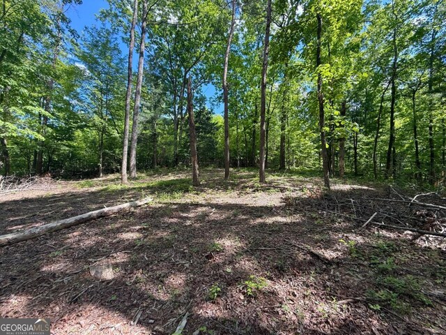 164 Reindeer Ln, Talking Rock, GA 30175