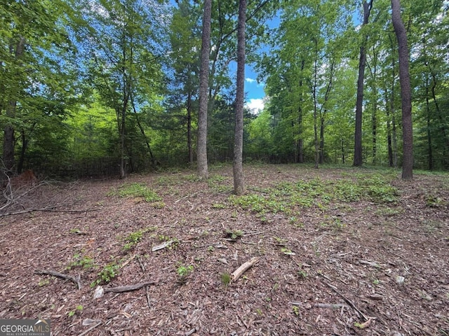 164 Reindeer Ln, Talking Rock, GA 30175