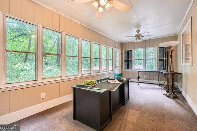 510 Aiken Dr, Dallas, GA 30157 - home office featuring a ceiling fan, carpet floors, baseboards, and ornamental molding