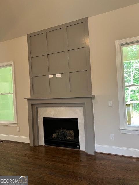 5907 SW Bunting Ln SW Unit 2, Atlanta, GA 30331 - detailed view of baseboards, wood finished floors, and a high end fireplace