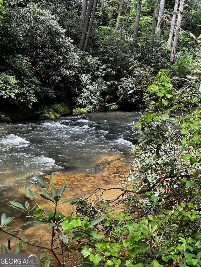 105 Chinquapin Ln, Clarkesville, GA 30523 - view of local wilderness