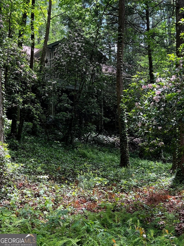 105 Chinquapin Ln, Clarkesville, GA 30523 - view of wooded area