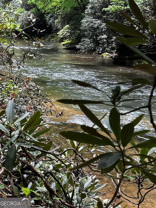 105 Chinquapin Ln, Clarkesville, GA 30523 - water view