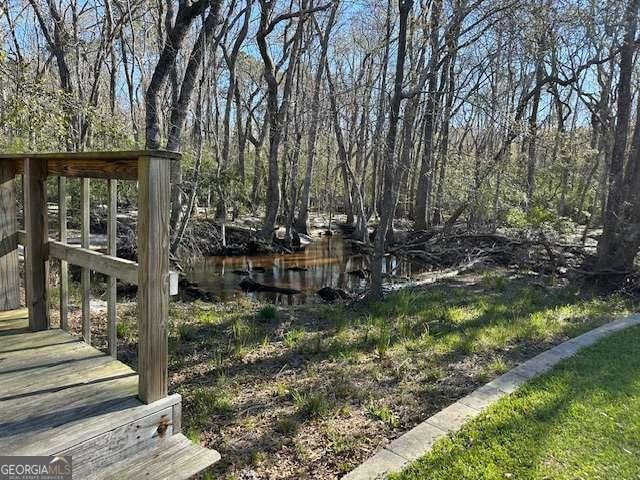 2506 Wateringhole Ct, Statesboro, GA 30458 - view of yard