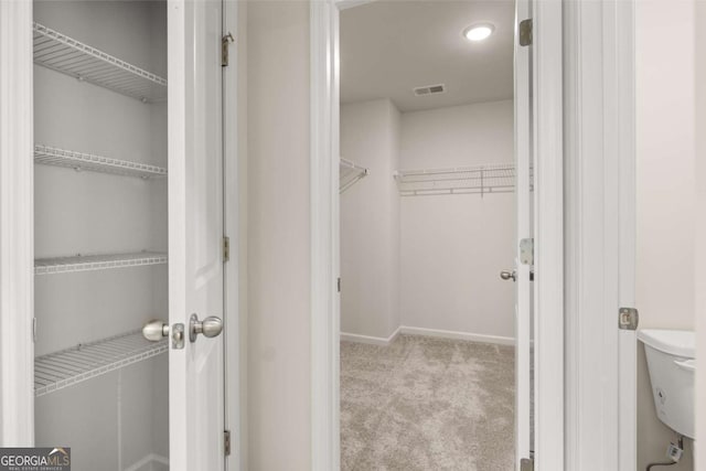 spacious closet with carpet