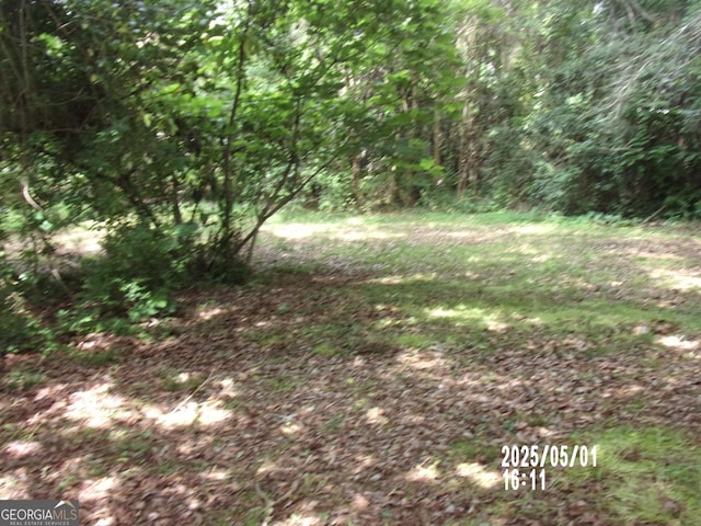 view of tree filled area