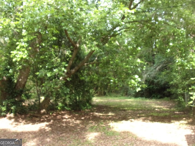 view of nature