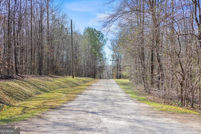 117 Kinney Creek Ln, Pendergrass, GA 30567 - view of dirt / gravel road with a wooded view