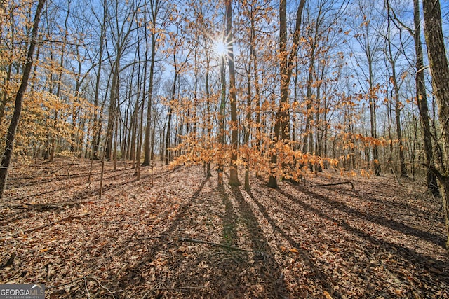 117 Kinney Creek Ln, Pendergrass, GA 30567 - view of street with a forest view