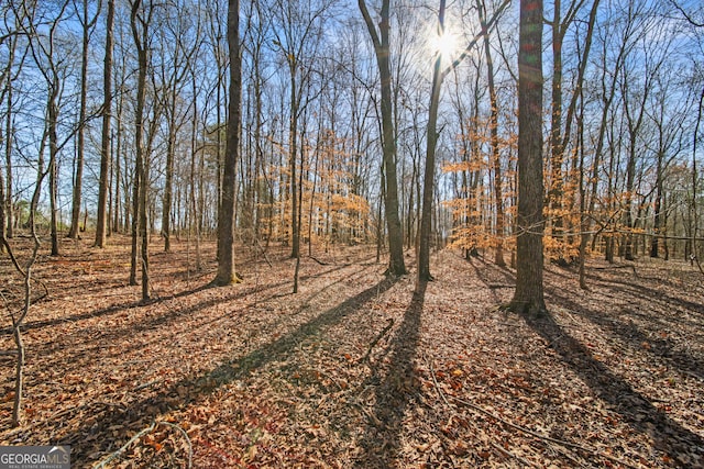 117 Kinney Creek Ln, Pendergrass, GA 30567 - view of road