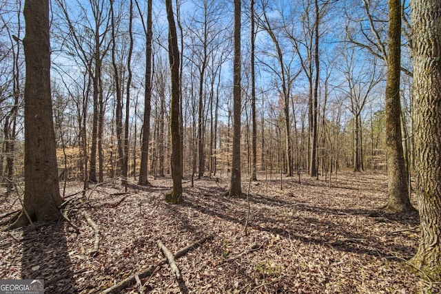117 Kinney Creek Ln, Pendergrass, GA 30567 - view of local wilderness