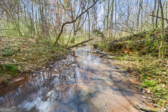 117 Kinney Creek Ln, Pendergrass, GA 30567 - view of road