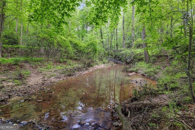 930 Brenau Point Dr, Gainesville, GA 30501 - view of tree filled area