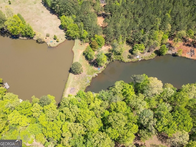 637 Lakeview Dr, Newborn, GA 30056 - drone / aerial view of a large body of water and a forest