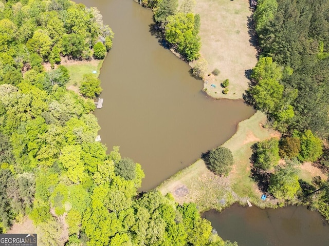 637 Lakeview Dr, Newborn, GA 30056 - drone / aerial view of a large body of water