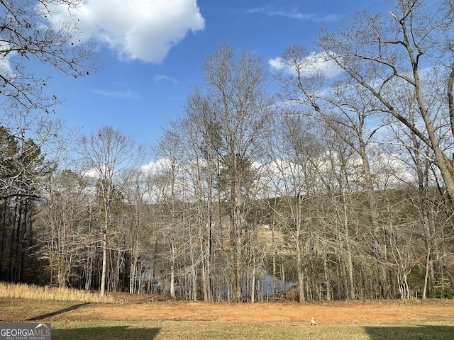 637 Lakeview Dr, Newborn, GA 30056 - view of yard with a forest view