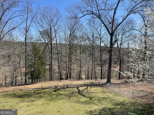 637 Lakeview Dr, Newborn, GA 30056 - view of yard featuring a view of trees