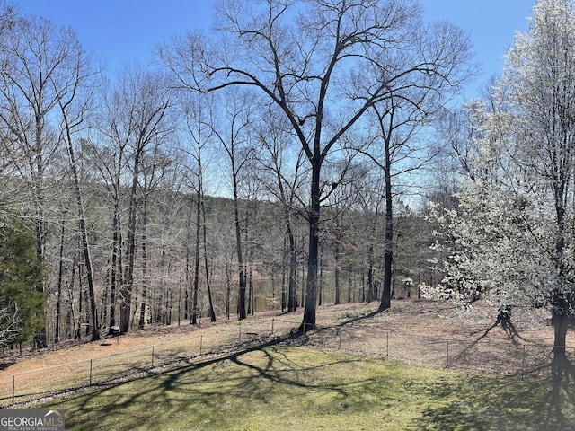 637 Lakeview Dr, Newborn, GA 30056 - view of yard featuring a forest view