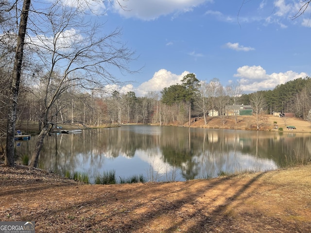 637 Lakeview Dr, Newborn, GA 30056 - water view with a heavily wooded area