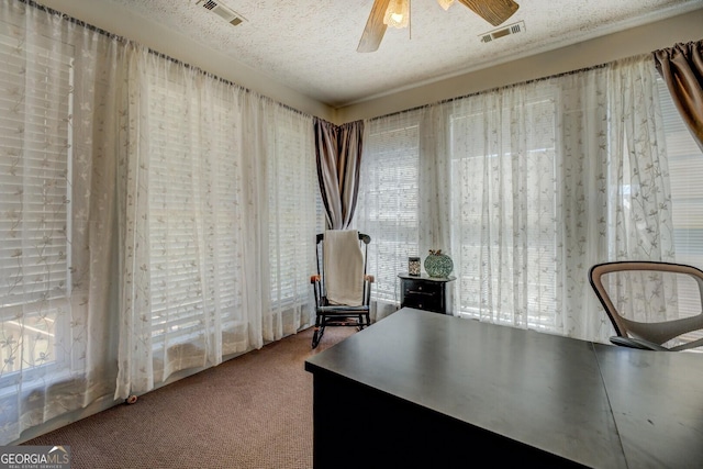 637 Lakeview Dr, Newborn, GA 30056 - office with carpet flooring, healthy amount of natural light, a ceiling fan, and a textured ceiling